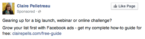 Claire Pelletreau Facebook Ad Copy Example