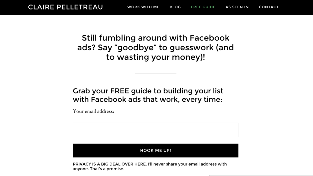 My landing page for Facebook ads guide