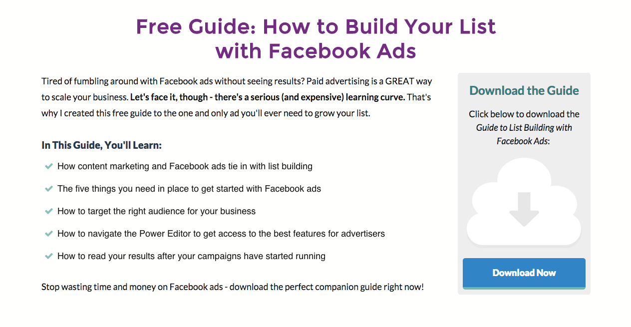 Landing Page for Facebook Ads
